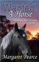 Jumping Into Trouble Series Book 1: Wanted! a Horse