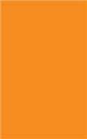 Tangerine 101 - Lined Notebook
