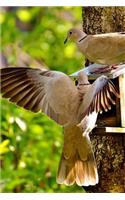 Doves at a Bird Feeder Journal: Take Notes, Write Down Memories in this 150 Page Lined Journal