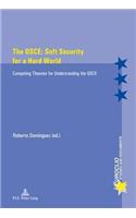 The OSCE: Soft Security for a Hard World