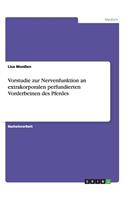 Vorstudie zur Nervenfunktion an extrakorporalen perfundierten Vorderbeinen des Pferdes