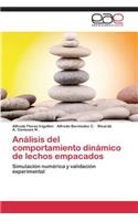 Análisis del comportamiento dinámico de lechos empacados