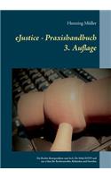 Ejustice - Praxishandbuch