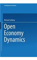 Open Economy Dynamics
