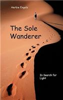 The Sole Wanderer