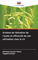 Schéma de libération de l'azote et efficacité de son utilisation chez le riz