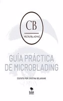 Guia practica de microblanding