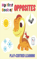 My First Book Of Opposites Play-Centred Learning