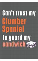 Can't trust my Clumber Spaniel to guard my sandwich: For Clumber Spaniel Dog Breed Fans