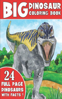 Big Dinosaur Coloring Book