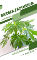 Fatsia japonica