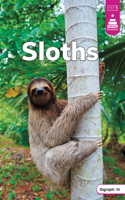 Sloths: (Stairway Decodables Nonfiction Step 3)
