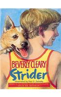 Strider