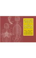 Attorney's Reference on Human Anatomy