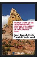 The true story of the exodus of Israel; together with a brief view of the history of monumental Egypt