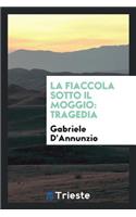 La Fiaccola Sotto Il Moggio: Tragedia: Tragedia