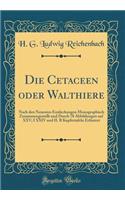 Die Cetaceen Oder Walthiere: Nach Den Neuesten Entdeckungen Monographisch Zusammengestellt Und Durch 78 Abbildungen Auf XXV; I XXIV Und II. B Kupfertafeln ErlÃ¤utert (Classic Reprint)