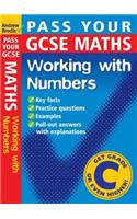 Working with Numbers (Pass Your) Paperback â€“ 1 January 2004