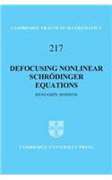 Defocusing Nonlinear Schrödinger Equations