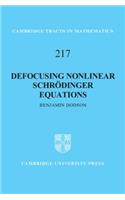 Defocusing Nonlinear Schrödinger Equations