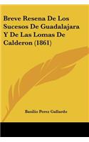 Breve Resena De Los Sucesos De Guadalajara Y De Las Lomas De Calderon (1861)