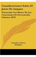 Consideraciones Sobre El Juicio De Amparo