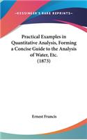 Practical Examples in Quantitative Analysis, Forming a Concise Guide to the Analysis of Water, Etc. (1873)