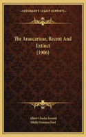 Araucarieae, Recent And Extinct (1906)