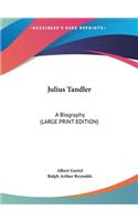 Julius Tandler: A Biography (Large Print Edition)