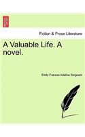 Valuable Life. a Novel.