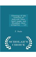 Gleanings of the Histories of Holywell, Flint, Saint Asaph, and Rhuddlan; Their Antiquities ..., Wit - Scholar's Choice Edition