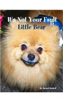 It's Not Your Fault Little Bear