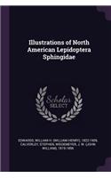 Illustrations of North American Lepidoptera Sphingidae