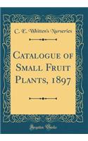 Catalogue of Small Fruit Plants, 1897 (Classic Reprint)
