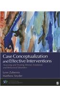 Case Conceptualization and Effective Interventions