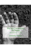 We're Counting In Irish