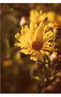 Flower Journal-Sunflower