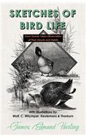 Sketches of Bird Life - From Twenty Years Observation of Their Haunts and Habits - With Illustrations by Wolf, C. Whymper, Keulemans, and Thorburn
