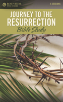 Journey to the Resurrection: (Rose Visual Bible Studies)