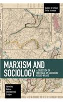 Marxism and Sociology: A Selection of Writings by Kazimierz Kelles-Krauz(Studies in Critical Social Sciences)