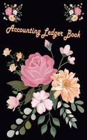 Accounting Ledger Book