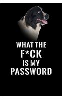 What The F*CK Is My Password, Landseer