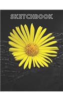 Yellow flower Sketchbook