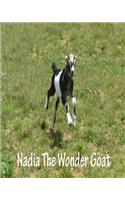 Nadia the wonder goat