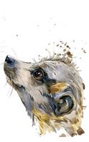 Meerkat Notebook