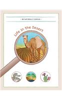 Life in the Desert