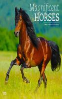 MAGNIFICENT HORSES 2021 SQUARE FOIL AVC