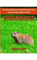 Groundhogs