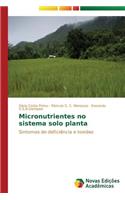 Micronutrientes no sistema solo planta