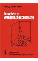 Transiente Zweiphasen-Strömung
